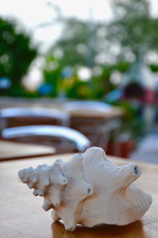 B&B Il Giardino Stellato Вьесте Экстерьер фото